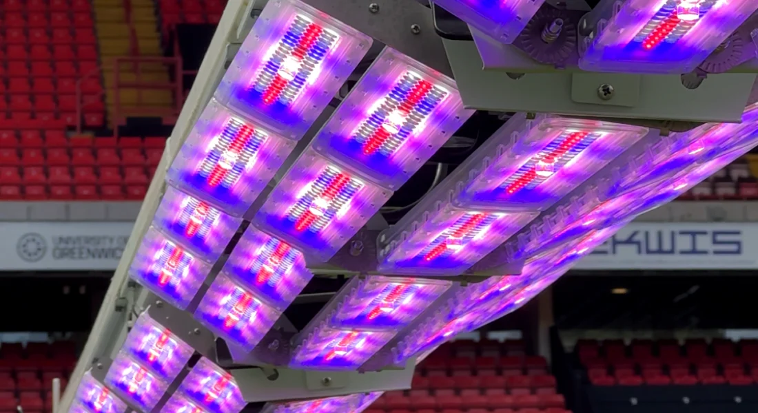 23146D52-C85D-48D4-A66D-A17FED355929